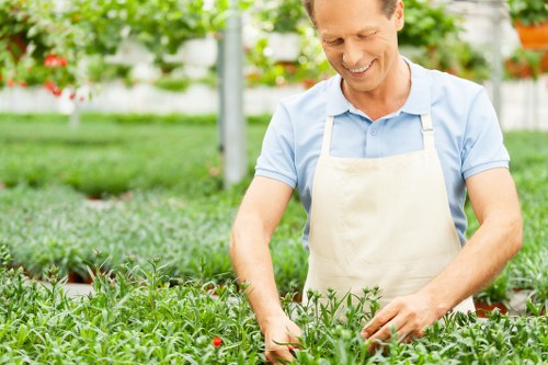 A smiling man wearing a light blue shirt and a beige apron is working in a well-maintained garden, tending to rows of lush green plants, possibly vegetables or herbs, in a controlled environment such as a greenhouse or polytunnel. The garden features tidy, evenly spaced plant beds with healthy foliage, and in the background, there are blurred structures and additional foliage, indicating a cultivated outdoor space. The scene is brightly lit, suggesting natural sunlight, and the overall environment appears neat and organized, reflecting professional gardening practices. The image subtly aligns with gardening services such as plant care, cultivation, and garden maintenance, including trimming and tending to plants in Penge or surrounding areas. This detailed description aims to support accessibility and local SEO relevance for the gardening company's website, gardenmaintenancepenge.co.uk, under the service category of gardening, specifically for garden upkeep and plant care in the local area.
