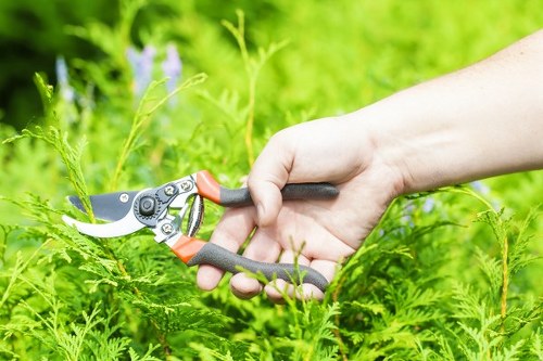 Screen-reader testing of garden care website on a laptop