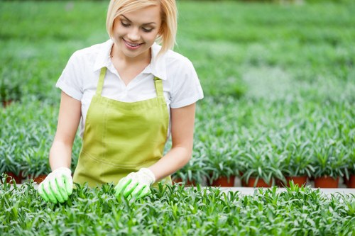 A young woman with short blonde hair, dressed in a white shirt and a bright green apron, is working in a garden nursery with rows of small potted plants in the foreground and lush green hedges and trees in the background. She is smiling and wearing green gloves while tending to the vibrant, leafy plants, which are arranged neatly in bedded containers. The outdoor setting appears well-maintained, with the garden bathed in natural daylight under mild weather conditions, typical of a suburban or urban garden space in Penge or the surrounding area. The scene reflects the professional gardening and plant care services offered by Garden Maintenance Penge, highlighting the focus on healthy plant growth and outdoor maintenance, including plant cultivation and garden clearance. The overall environment showcases a well-organised garden area with a combination of dense foliage, potted greenery, and natural ground cover, creating a visually appealing and inviting horticultural space suitable for professional landscaping and gardening activities.