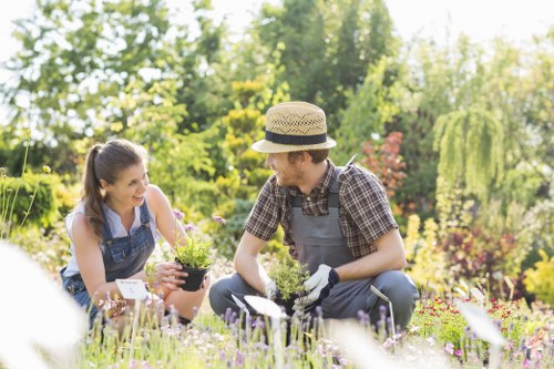 Inspector or manager assessing garden during site visit