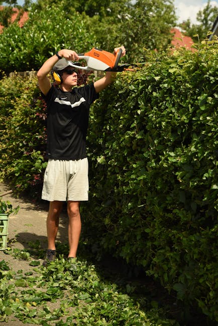 A young gardener wearing sunglasses, ear protection, a black t-shirt with white horizontal stripes, and beige shorts is trimming a dense, green hedge with electric hedge shears. The hedge is lush and 